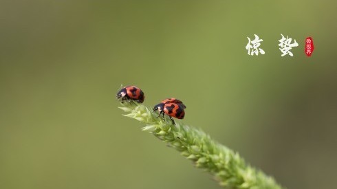当“惊蛰”遇上学雷锋纪念日,这个春天格外暖~ 当“惊蛰”遇上学雷锋纪念日,这个春天格外暖~