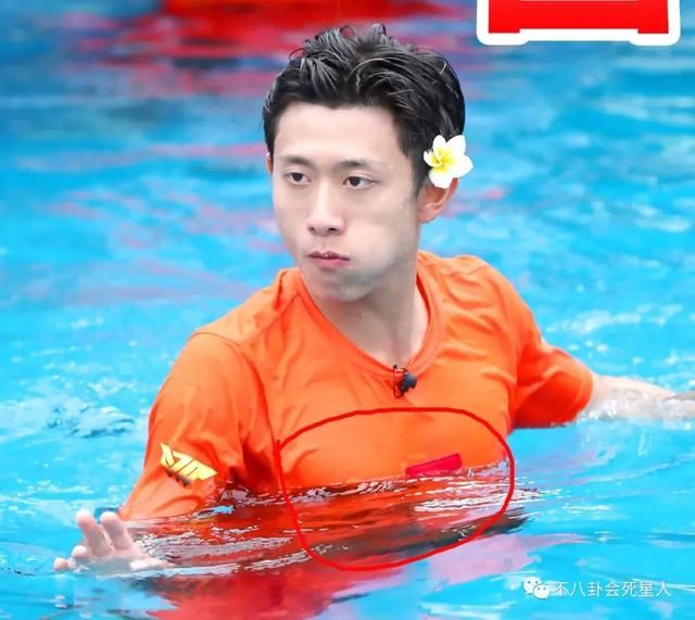 明星游泳戏太多,杨洋花样游泳秀长腿胸肌,张一