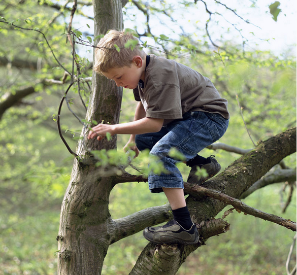 西北大学开爬树课：女生选的更多 老师6秒爬8米