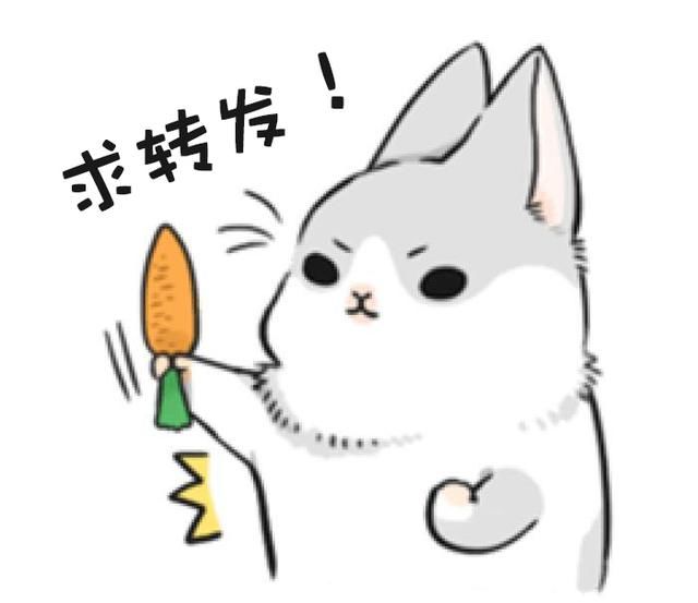 王者荣耀:VIP10即将上线,仅需200000点券,你竟