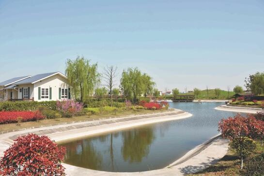 党员引领 群众支持 “移风易俗新风”让“彩礼满桌”变“清新扑面” 党员引领 群众支持 “移风易俗新风”让“彩礼满桌”变“清新扑面”