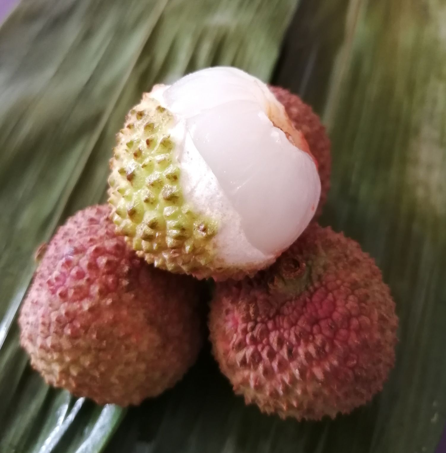 一骑红尘妃子笑 拥有航空公司多么好--药师说中