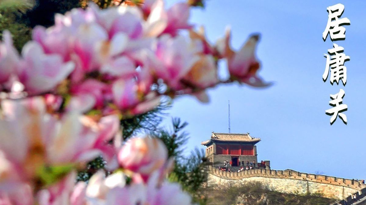 昌平最美赏花攻略 错过等一年! 昌平最美赏花攻略 错过等一年!