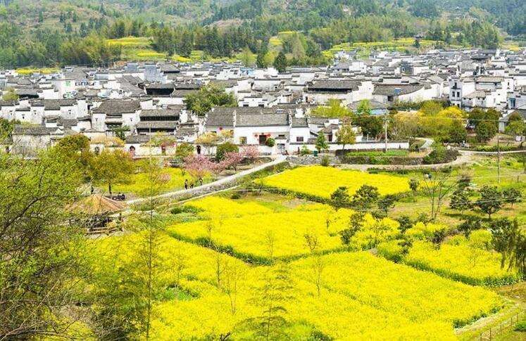 慈善对于乡村振兴至关重要