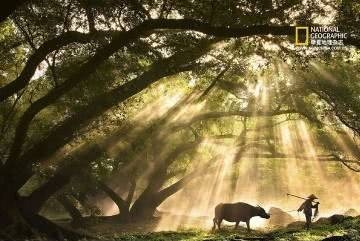 相关作品曾多次登上《中国国家地理》杂志，还被印在了《中国国家地理》“中国美色·上”的系列明信片中。当地一些老百姓，在络绎不绝的摄影爱好者的导演下，已经逐渐成为了走位熟练的“模特”。