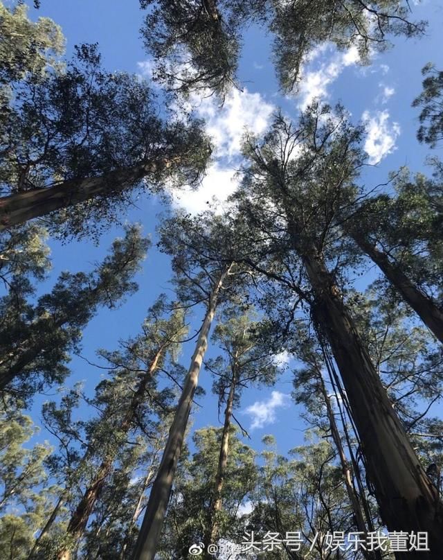 郭德纲再发八字真言意味深长,网友评论金句频