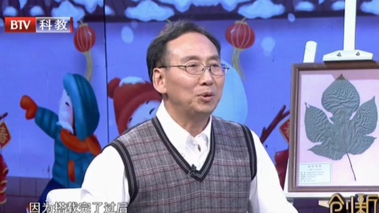 《创新北京》20210220长在餐桌上的大树 《创新北京》20210220长在餐桌上的大树