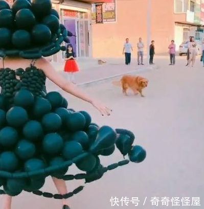 女子穿气球服上街,引发路人围观,得知原因后直