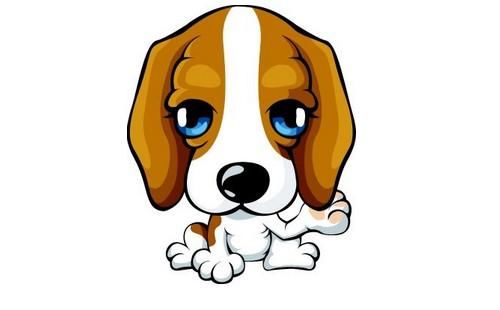 2018年紫薇之术详解十二生肖与十二星座,用身