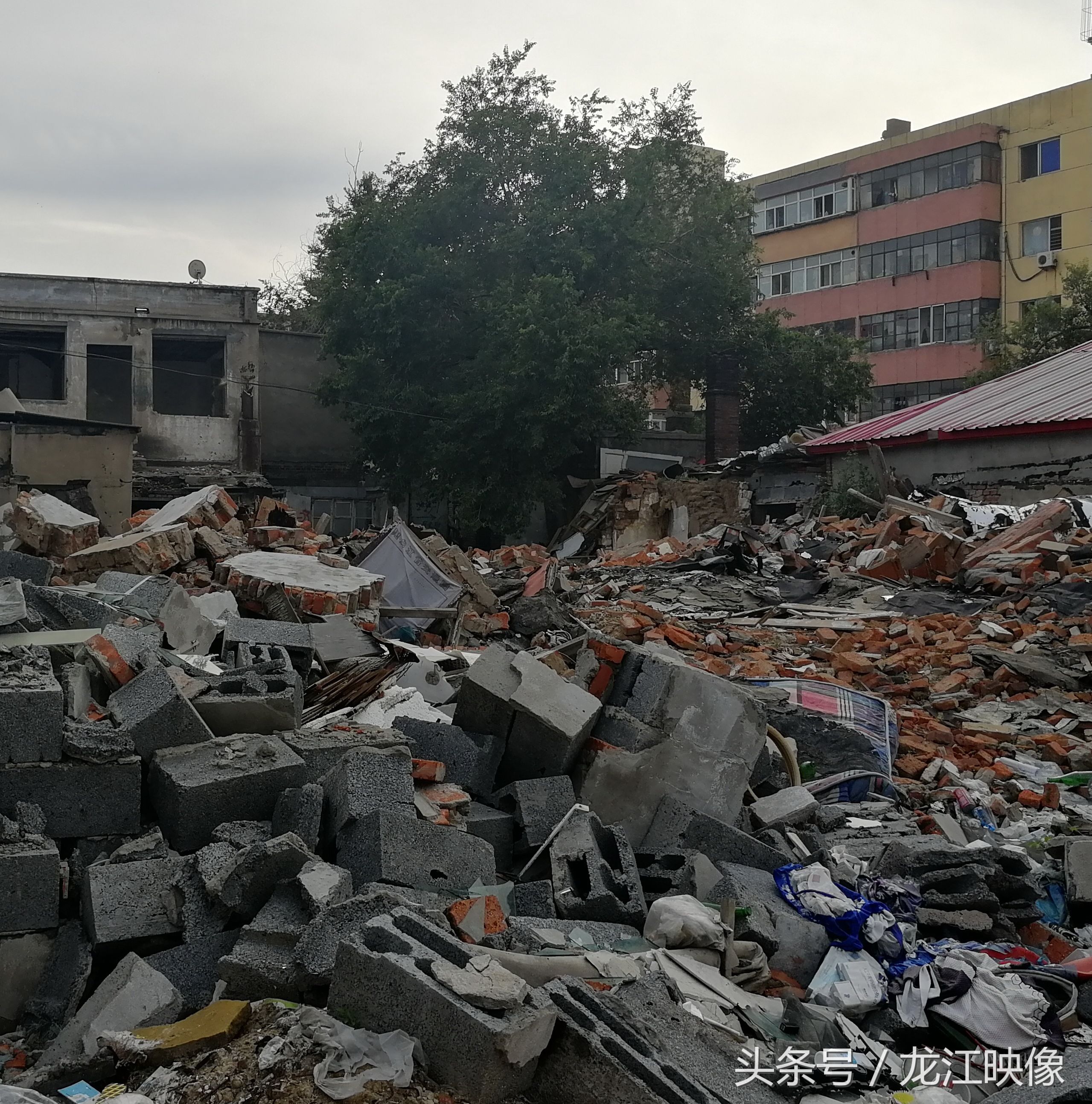 棚户区里这些钉子户坚持不搬,会获得更高的补