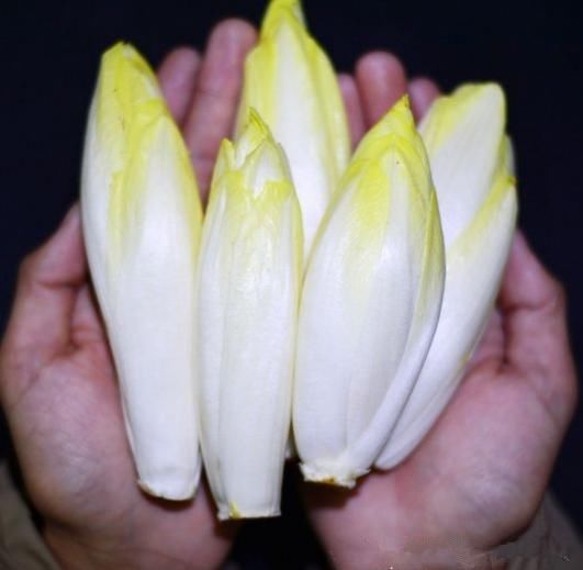 痛风到底不能吃哪些东西?最全归纳,有痛风患者