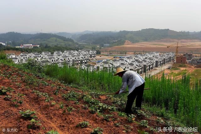 土地确权就是个坑?谣言!确权是对农民财产权的