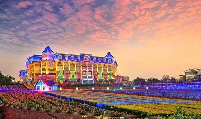 百万葵园,位于广州市南沙区新垦镇,占地面积26万平方米,种植一百万株