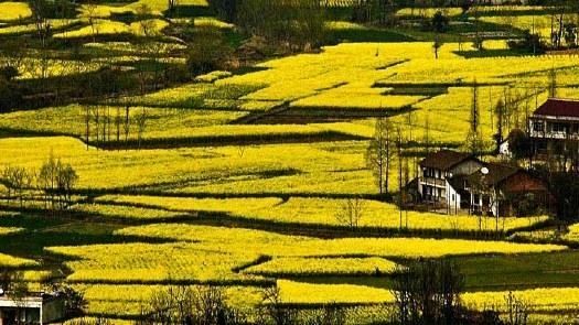 陕西5条高速公路集中开工,总长472公里,涉及6