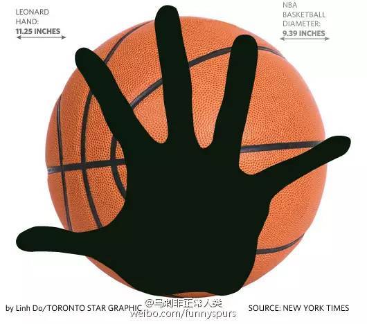 伦纳德的手究竟有多大?