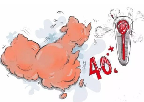什么时候才能结束高温天气 t015e7ddab9b91f90fa.jpg?size=460x326