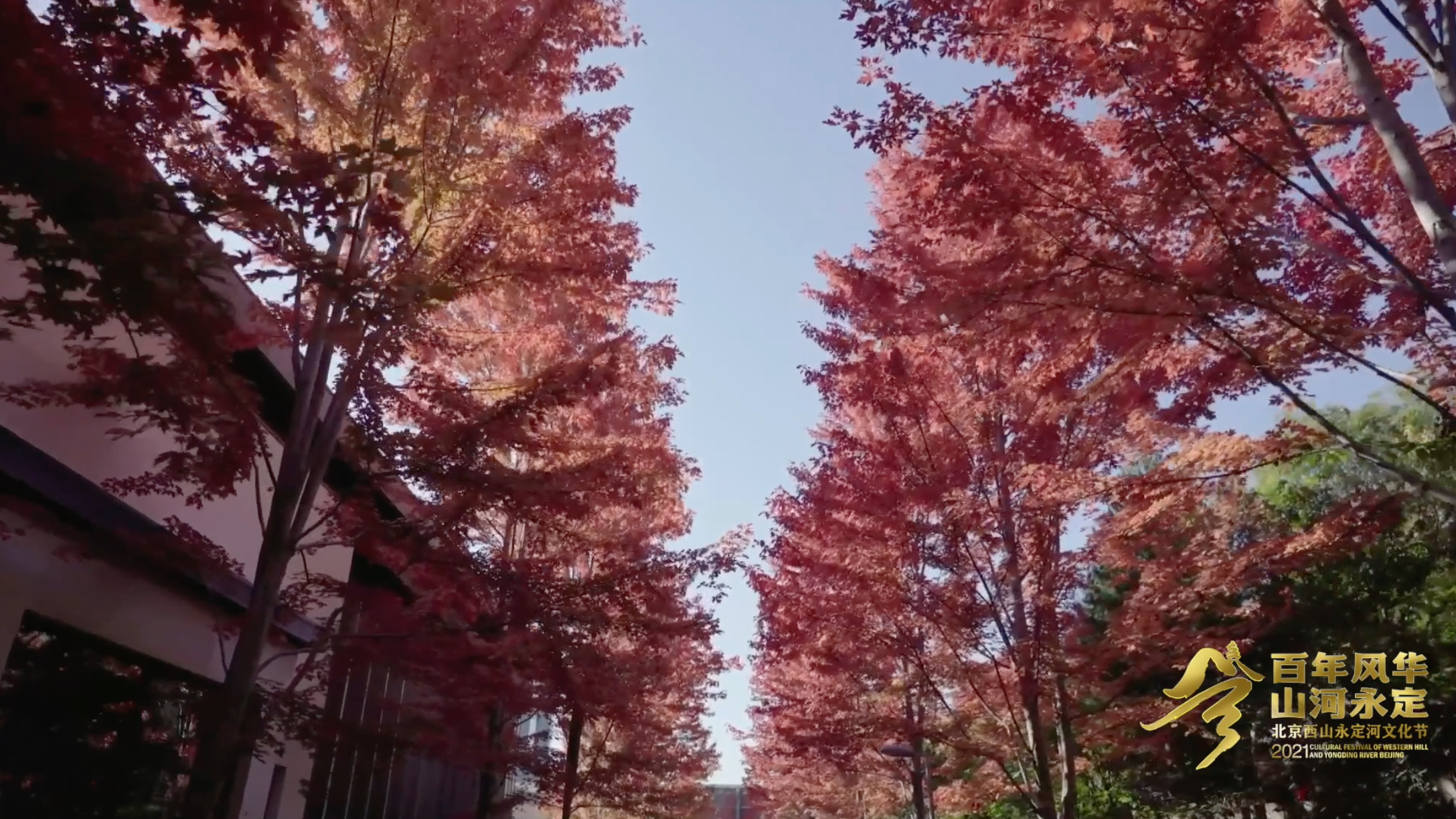 我眼中的石景山——森林石景山，生态复兴城