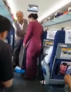 老人高铁嗑瓜子 被劝阻后起身将瓜子扔向整节车厢 老人高铁嗑瓜子 被劝阻后起身将瓜子扔向整节车厢