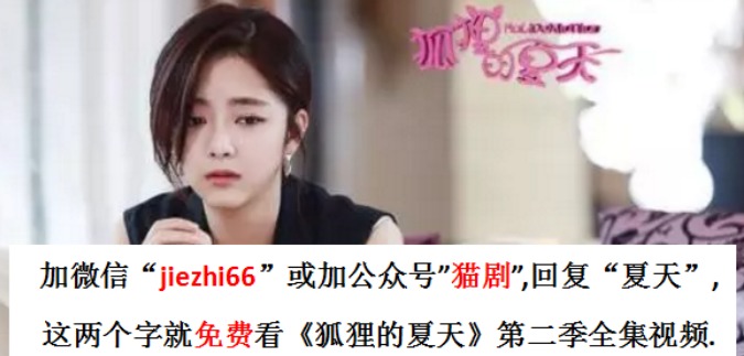 狐狸的夏天第二季全集百度云 1 47集 完整版狐狸的夏天2资源网盘 免费分享 狐狸的夏天第二季全集百度云 1 47集 完整版狐狸的夏天2资源网盘 免费分享