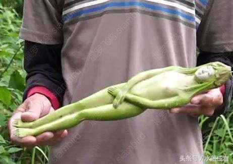 揭秘!泰国女人果骗局,专门欺骗国外游客,当地