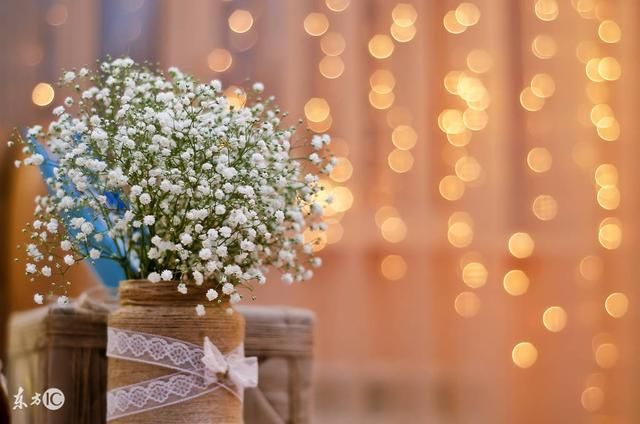 戌狗人:一辈子的婚姻幸福 尤其是1982年