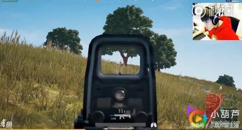 五五开炫耀《绝地求生》29杀吃鸡 网友:但愿你