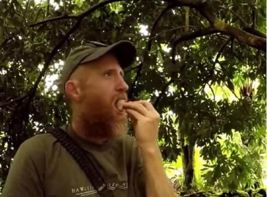 第一次吃中国特有的水果,老外:哎呀妈呀!这是啥