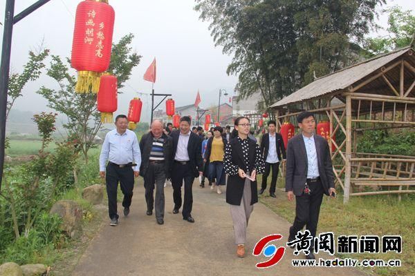 麻城白果镇组织干部考察党建和美丽乡村建设