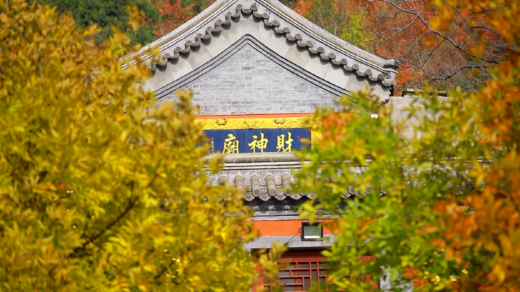 氛围拉满！北京凤凰岭景区浓墨重彩美如油画~