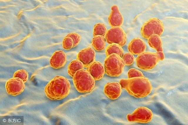 烂脚丫臭气熏天?一把韭菜加上它,杀菌止痒,脚