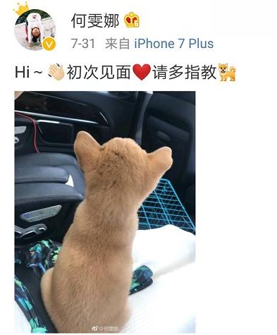 奥运冠军何雯娜近况曝光!和伴侣生活滋润,退役