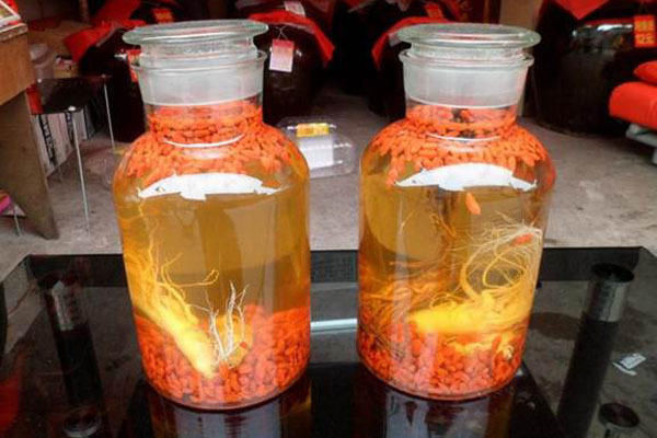 酿酒技术:枸杞泡酒用多少度的什么酒好