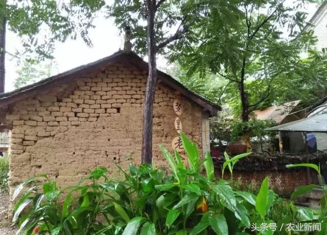 三个案例告诉你,别人家的乡村是怎么脱贫致富