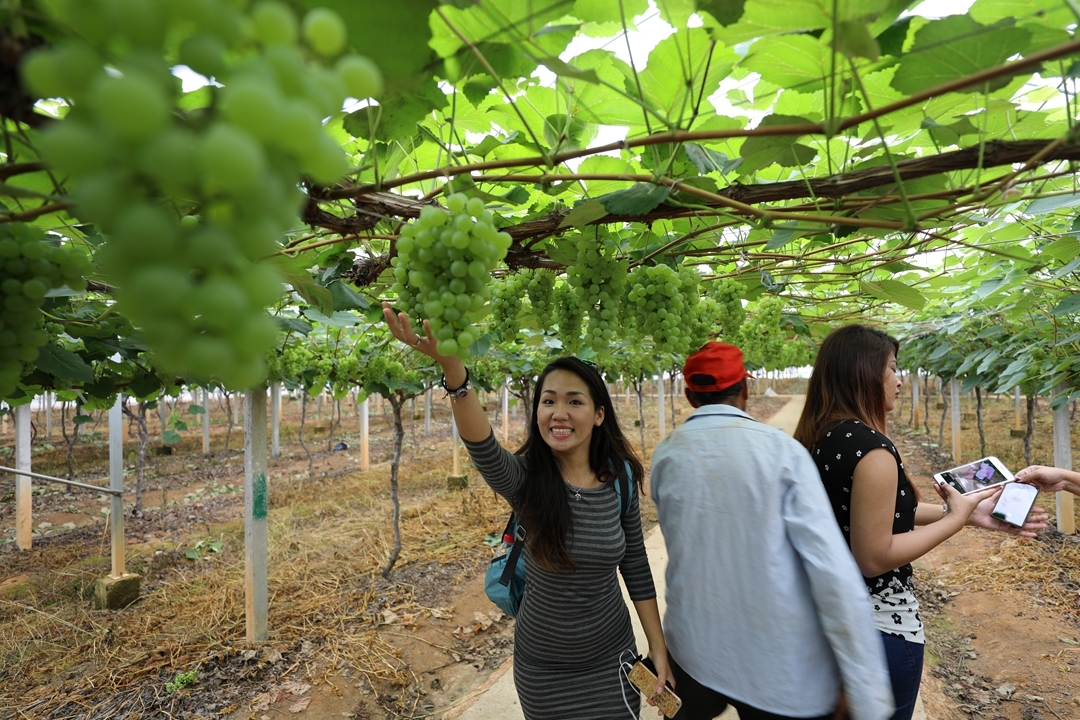 金华青蛙乐园 一根丝瓜和人一样高