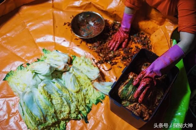 韩国老龄人口增多,做泡菜劳动力不足,高价请中