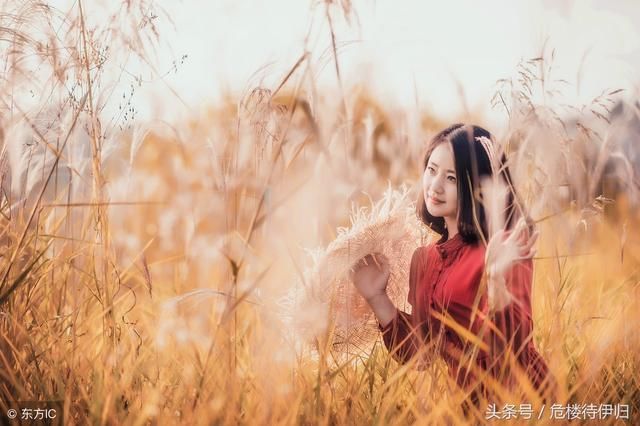 孤独其实也很美,因为它是一个人的狂欢,赞美