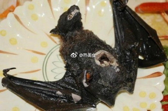 广东人输了?帕劳的水果蝙蝠汤 健康美味吃完还想再来一碗