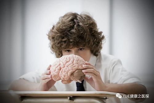 脑死亡和心死亡哪个更靠谱?脑死亡和植物人有