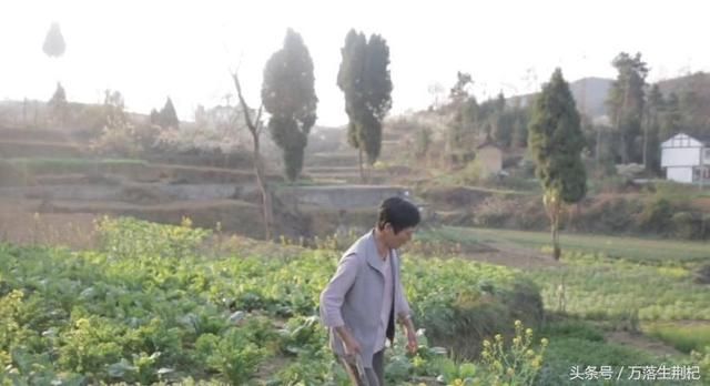 最新环保法规定:低于这个数的养猪户,将不得强