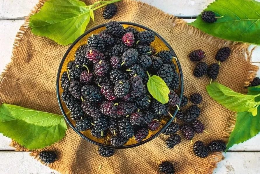 贫血、气血不足怎么办?中医教你3个食疗调养