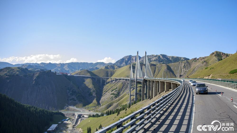 大桥是新疆公路第一座斜拉桥，也是国内第一座公路双塔双索面钢桁梁斜拉桥。