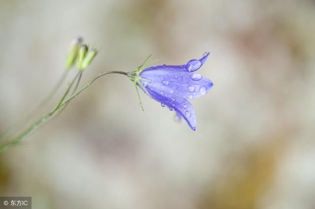 细节见人品,小事见人心
