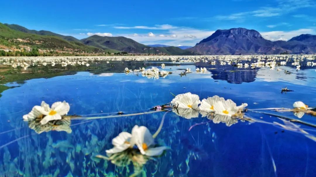 拿出15天，旅游专列带您游遍云南、四川、湖南、湖北～