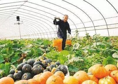 一村一品,一县一业,将来,农村会更好!