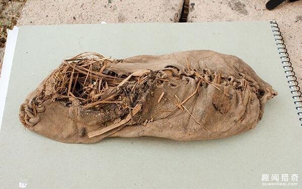 6. 40000年历史的乐器.这个以秃鹰骨头做的长笛在德国南部被发现.