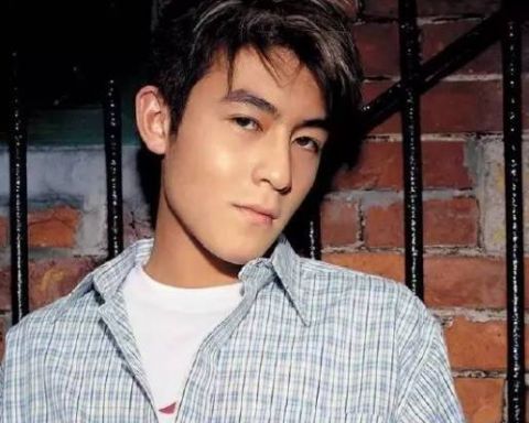 娱乐圈内的混血男星:陈冠希和谢霆锋位列其中