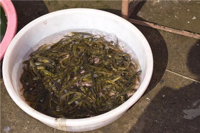 018农村致富项目,乡镇8个未来十大暴利行业,农