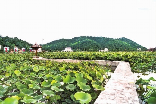 湘潭县梅林桥旅游景点图片