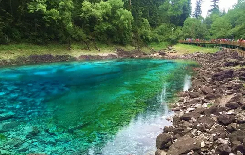 提醒游客，九寨沟入园时间从早7点开始，高峰在10点之前，如果不是特别着急的，可以错开高峰入园。图为栈道上的人还是很多，不过风景不会被挡住！