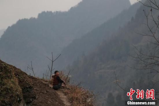 贵州身残志坚养牛倌创业逐梦